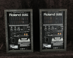 Roland DS-30A pár